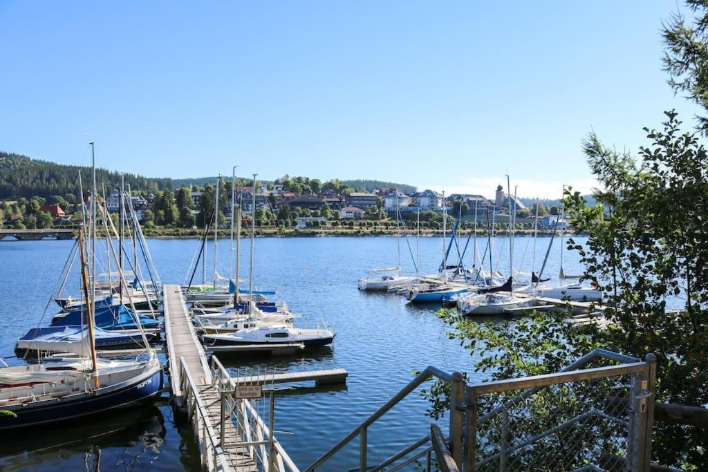 Fewo Sperlingskauz Mit Pool, Sauna & Hochschwarzwaldcard Schluchsee Dış mekan fotoğraf