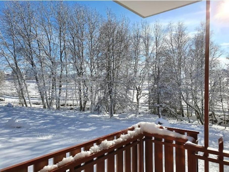 Fewo Sperlingskauz Mit Pool, Sauna & Hochschwarzwaldcard Schluchsee Dış mekan fotoğraf