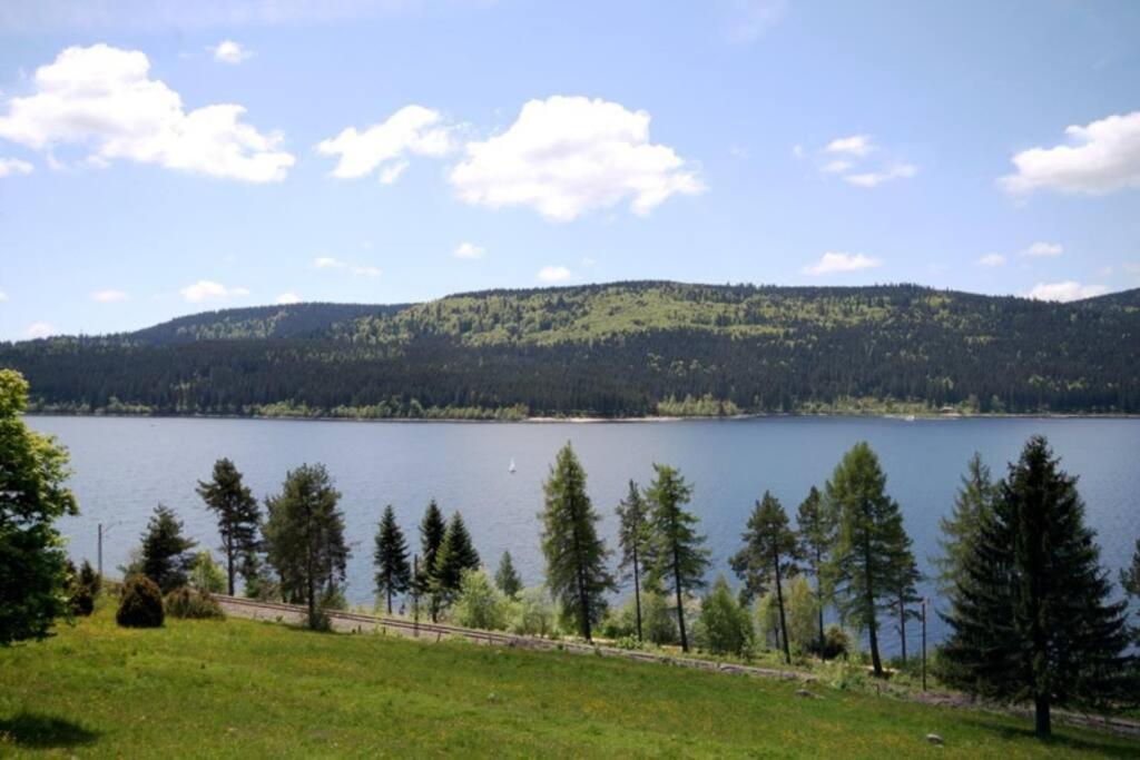 Fewo Sperlingskauz Mit Pool, Sauna & Hochschwarzwaldcard Schluchsee Dış mekan fotoğraf