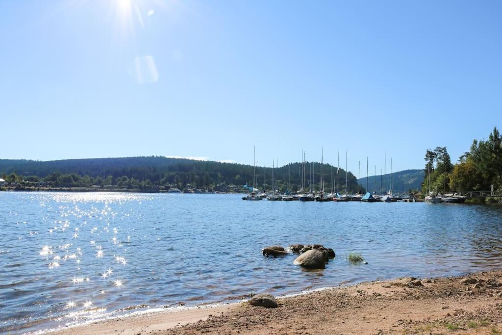 Fewo Sperlingskauz Mit Pool, Sauna & Hochschwarzwaldcard Schluchsee Dış mekan fotoğraf
