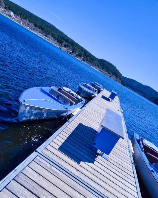 Fewo Sperlingskauz Mit Pool, Sauna & Hochschwarzwaldcard Schluchsee Dış mekan fotoğraf