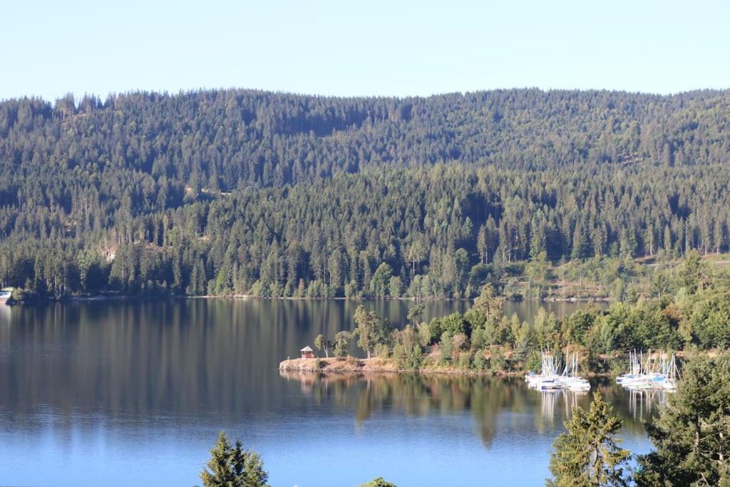 Fewo Sperlingskauz Mit Pool, Sauna & Hochschwarzwaldcard Schluchsee Dış mekan fotoğraf