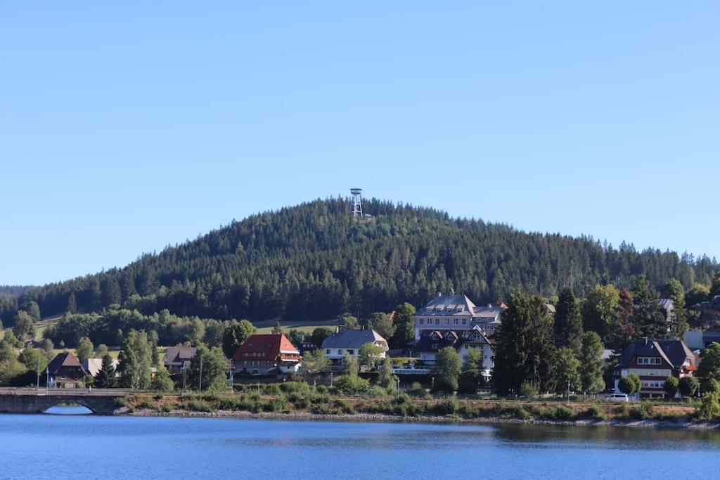 Fewo Sperlingskauz Mit Pool, Sauna & Hochschwarzwaldcard Schluchsee Dış mekan fotoğraf