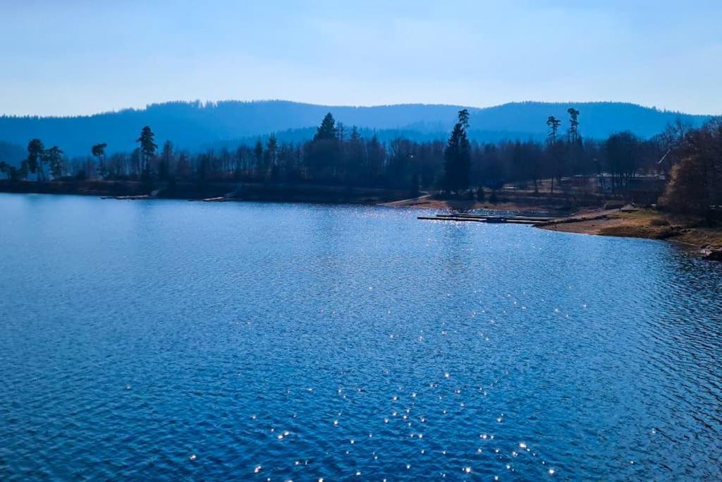 Fewo Sperlingskauz Mit Pool, Sauna & Hochschwarzwaldcard Schluchsee Dış mekan fotoğraf
