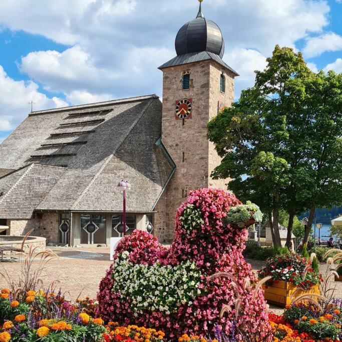 Fewo Sperlingskauz Mit Pool, Sauna & Hochschwarzwaldcard Schluchsee Dış mekan fotoğraf