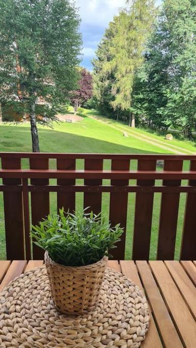 Fewo Sperlingskauz Mit Pool, Sauna & Hochschwarzwaldcard Schluchsee Dış mekan fotoğraf
